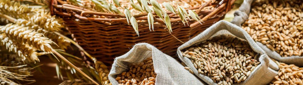 У Росії визначили найбільш продуктивного зернотрейдера