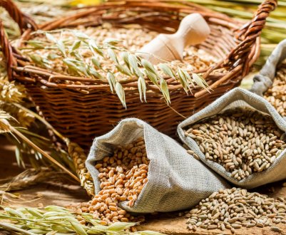 У Росії визначили найбільш продуктивного зернотрейдера