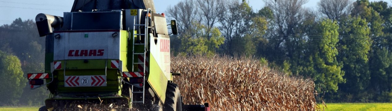 Сумські аграрії отримали 6 мільйонів гривень на здешевлення кредитів