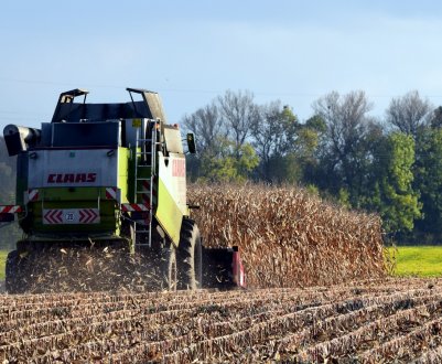 Сумські аграрії отримали 6 мільйонів гривень на здешевлення кредитів