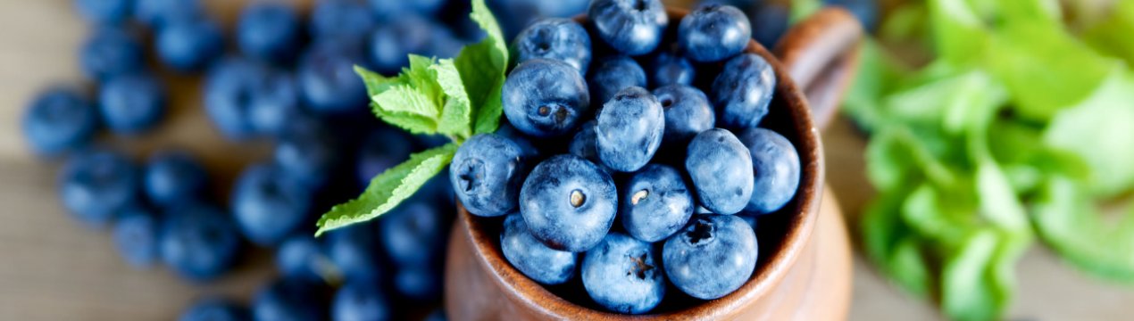 Вирощування лохини в Україні через кілька років може закінчитися колапсом