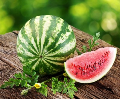 Органічна баштан в Херсонській області буде відзначена на Google мапі