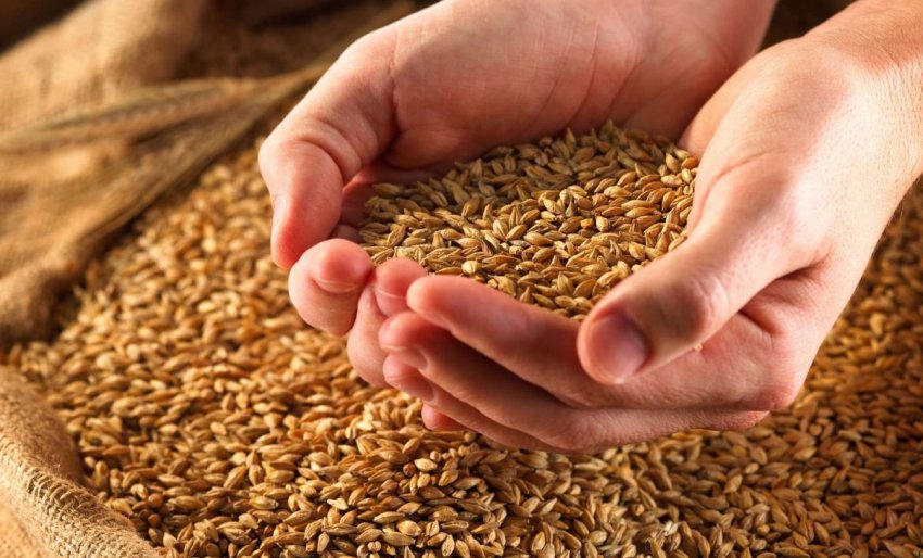 Фермери Луганської області несуть збитки через відсутність залізничного сполучення Фермери Луганської області несуть збитки через відсутність залізничного сполучення