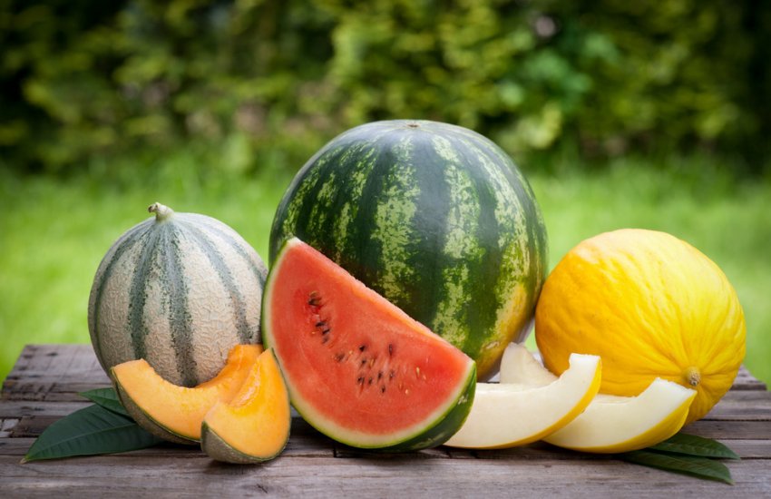 600 кілограмів кавунів і динь зняли з продажу в Чернівецькій області 600 кілограмів кавунів і динь зняли з продажу в Чернівецькій області