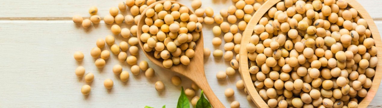 Американська компанія буде виробляти сою без ГМО в Аргентині