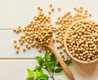 Американська компанія буде виробляти сою без ГМО в Аргентині