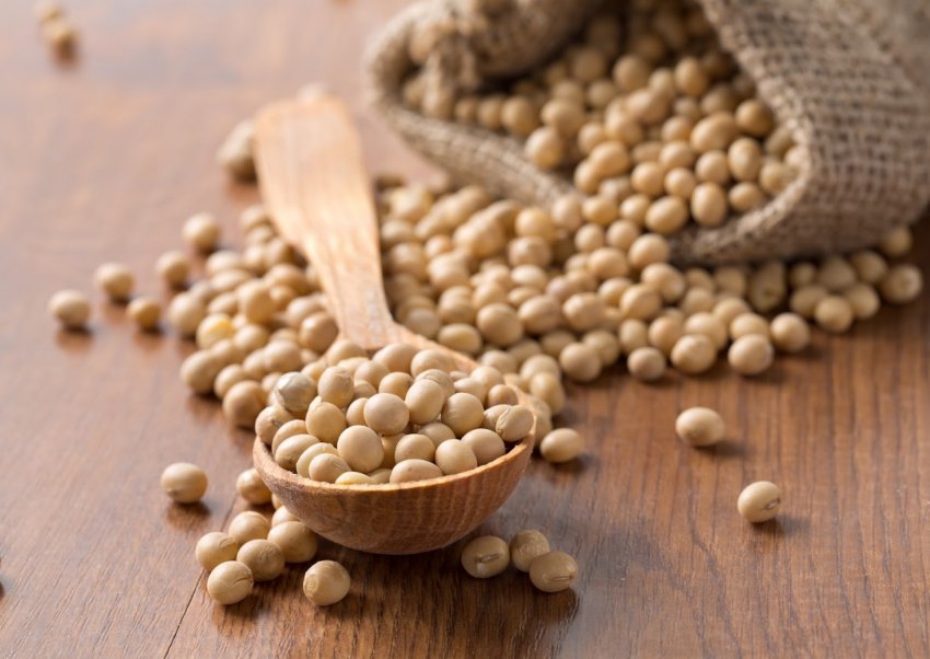 Американська компанія буде виробляти сою без ГМО в Аргентині Американська компанія буде виробляти сою без ГМО в Аргентині