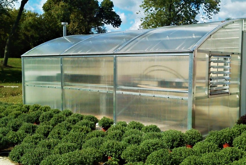 Білоруські теплиці і городи крупний град зрешетив