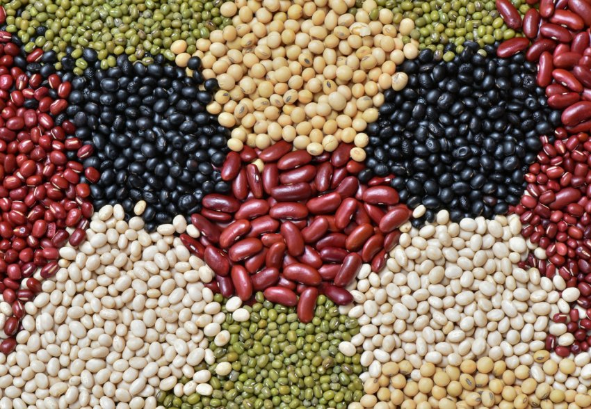 На російських полях стало трохи більше зерна і бобів