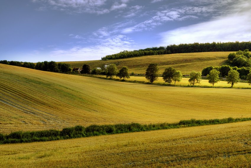 Посуха перевела Челябінську область на особливий режим Посуха перевела Челябінську область на особливий режим