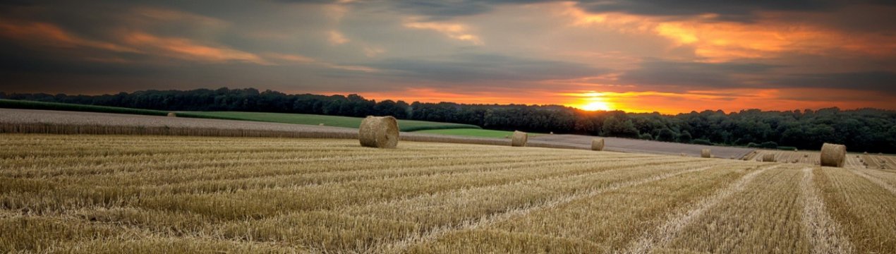 Засуха перевела Челябінську область на особливий режим
