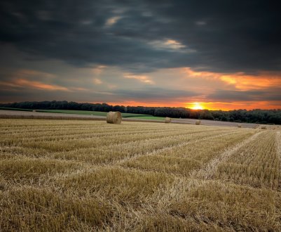Засуха перевела Челябінську область на особливий режим