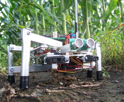 Глобальні поставки сільськогосподарських роботів будуть рости 