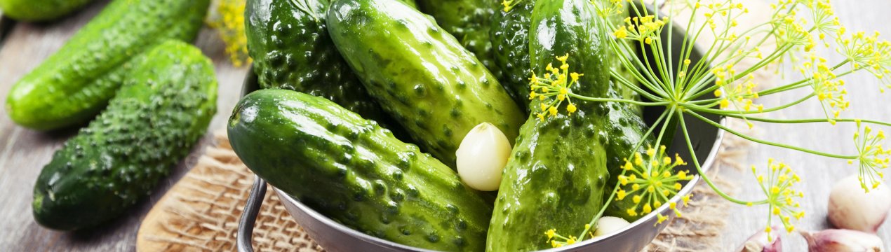 Огірки і помідори з російських теплиць не будуть дорожчати до кінця року