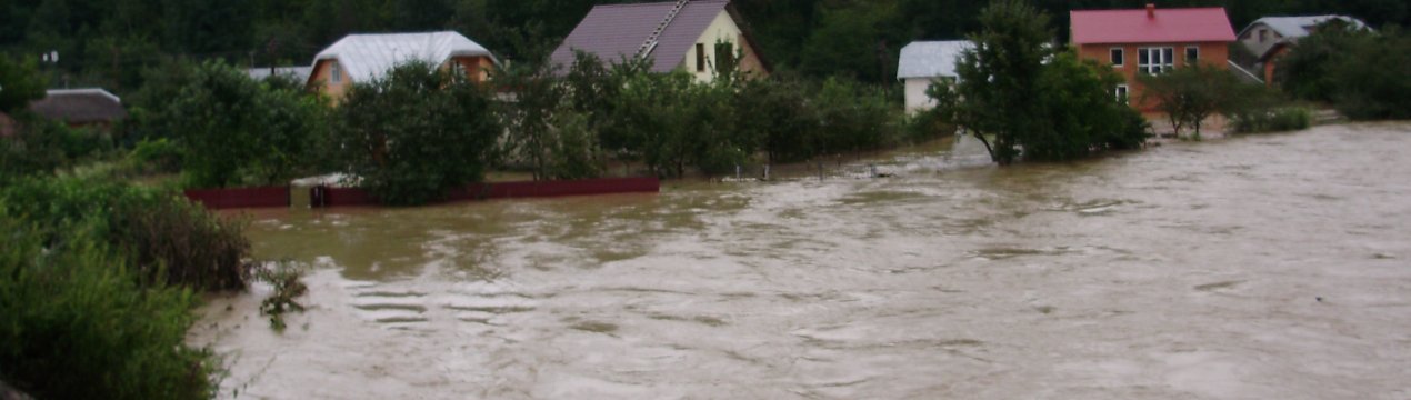 Приамурские паводки позбавили сільське господарство країни півтора мільярдів рублів