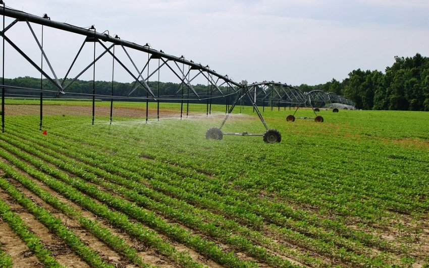 «Укрлендфармінг» інвестував в зрошувальні системи 20 мільйонів доларів «Укрлендфармінг» інвестував в зрошувальні системи 20 мільйонів доларів