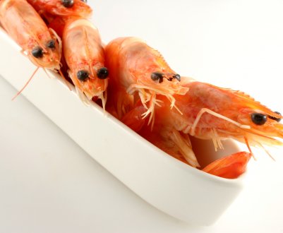 Мурманські рибоводи забезпечують іноземців креветками, тріскою і палтусом