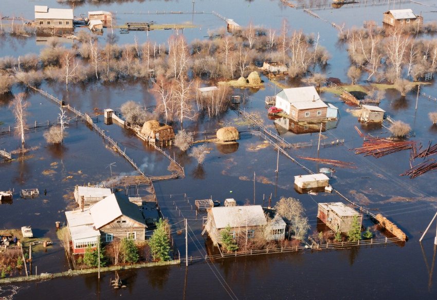 Приамурские паводки позбавили сільське господарство країни півтора мільярдів рублів Приамурские паводки позбавили сільське господарство країни півтора мільярдів рублів