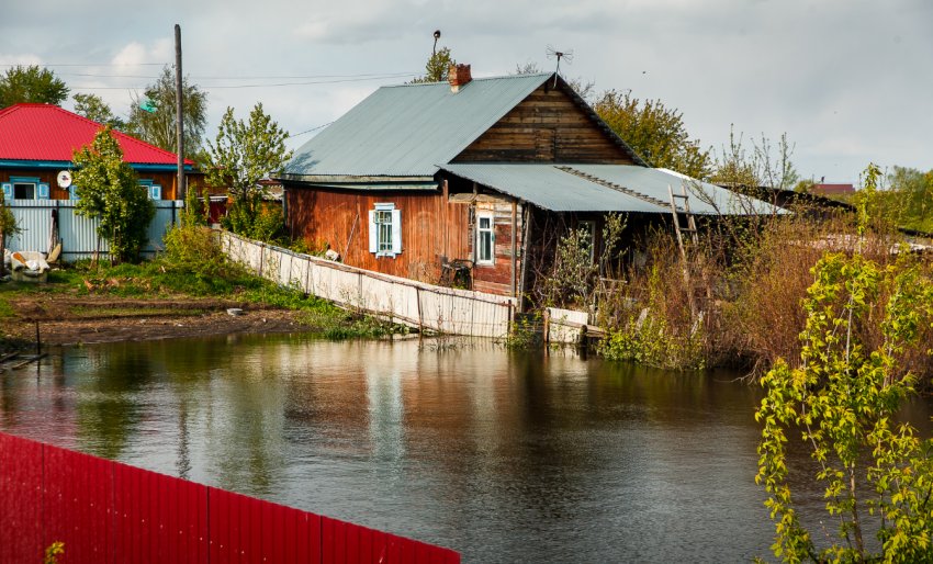 Приамурские паводки позбавили сільське господарство країни півтора мільярдів рублів Приамурские паводки позбавили сільське господарство країни півтора мільярдів рублів