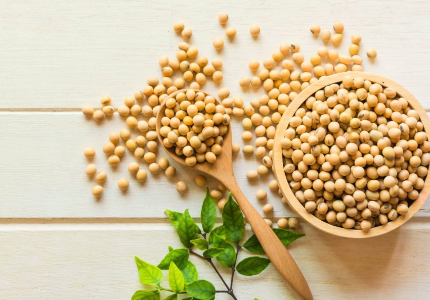 Китай дав добро на «евросою» з Росії