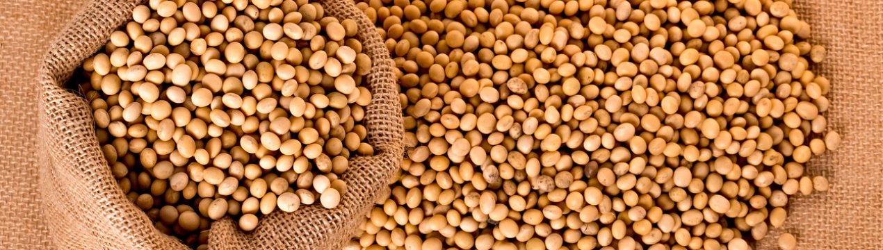 Китай дав добро на «евросою» з Росії