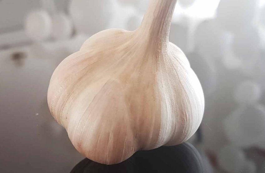 Озимий часник Надійний Озимий часник Надійний