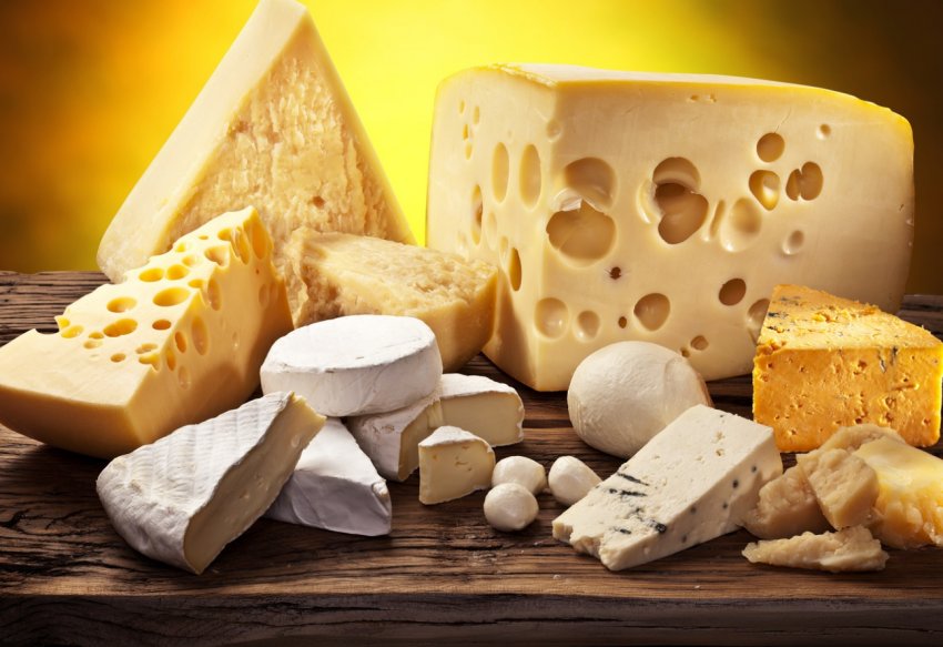 Під Рузой почнуть переробляти молоко і м'ясо в сири і ковбаси Під Рузой почнуть переробляти молоко і м'ясо в сири і ковбаси