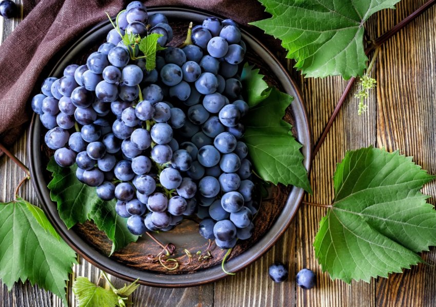 В Одеській області оберуть найкращу виноградний кетяг