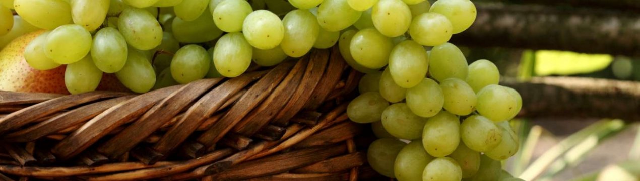 В Одеській області оберуть найкращу виноградний кетяг