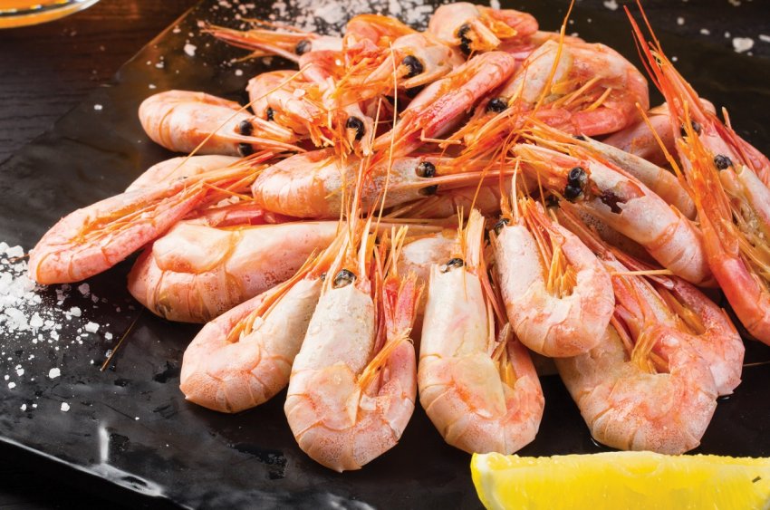 Мурманські рибоводи забезпечують іноземців креветками, тріскою і палтусом Мурманські рибоводи забезпечують іноземців креветками, тріскою і палтусом