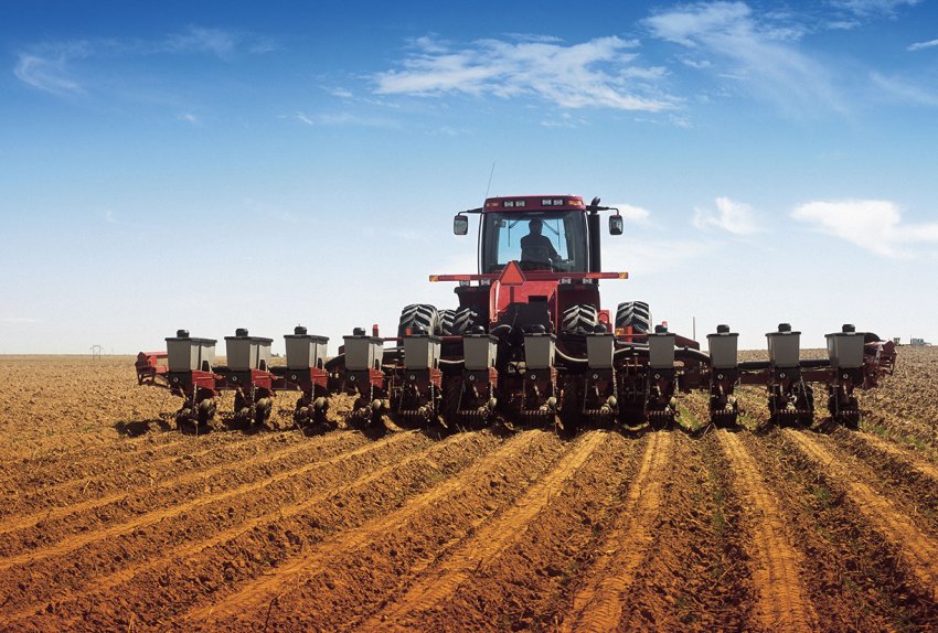 Архангельські аграрії очікують сухості і комфорту Архангельські аграрії очікують сухості і комфорту