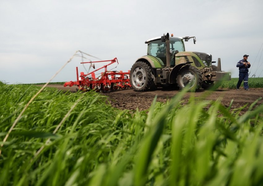 Архангельські аграрії очікують сухості і комфорту Архангельські аграрії очікують сухості і комфорту