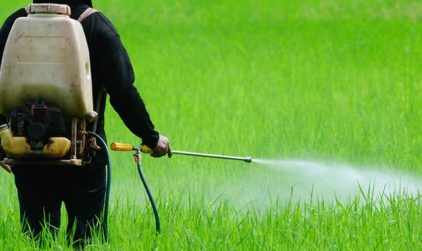 Колумбія має намір використовувати гліфосат для контролю коки Колумбія має намір використовувати гліфосат для контролю коки