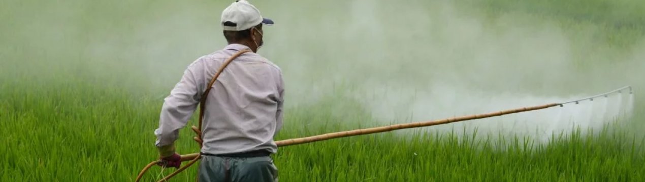 Колумбія має намір використовувати гліфосат для контролю коки