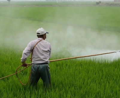 Колумбія має намір використовувати гліфосат для контролю коки