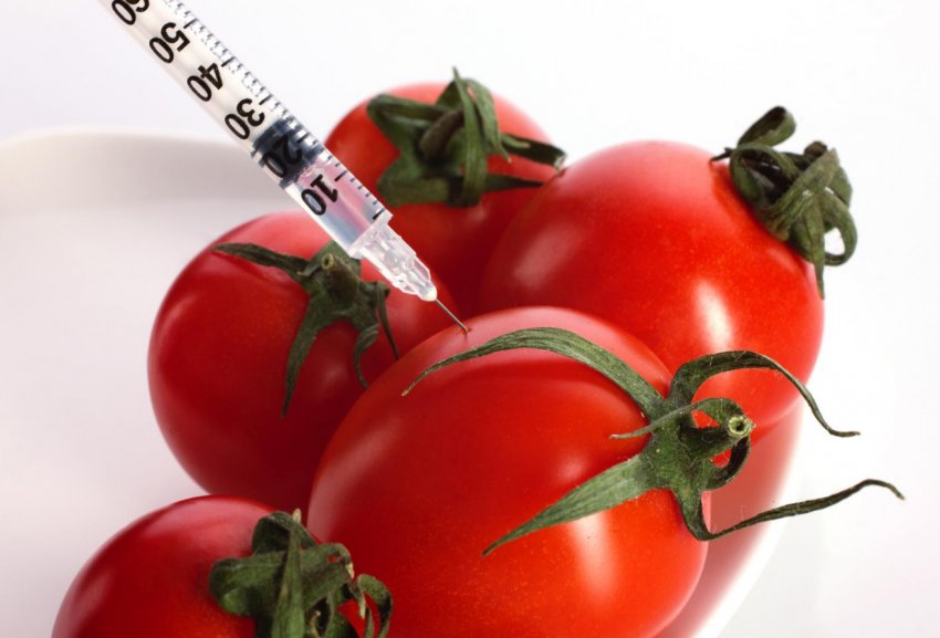 Фермери Великобританії готові вирощувати ГМ-культури у разі зміни британських правил