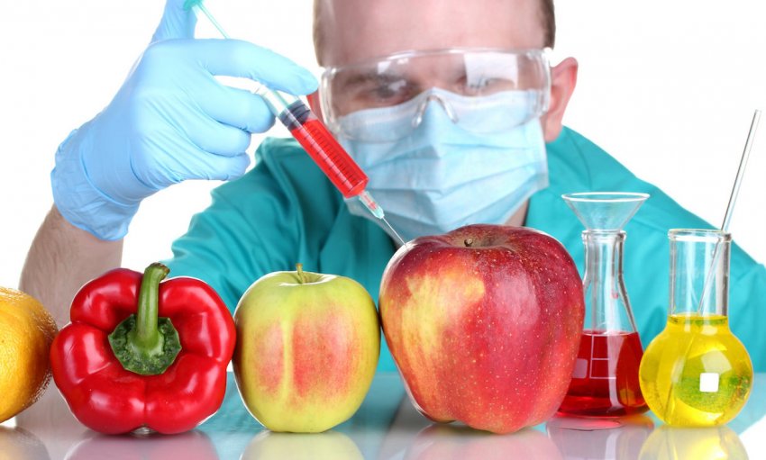 Фермери Великобританії готові вирощувати ГМ-культури у разі зміни британських правил