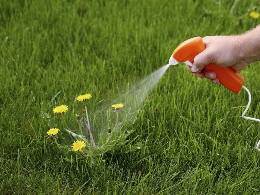 Колумбія має намір використовувати гліфосат для контролю коки Колумбія має намір використовувати гліфосат для контролю коки