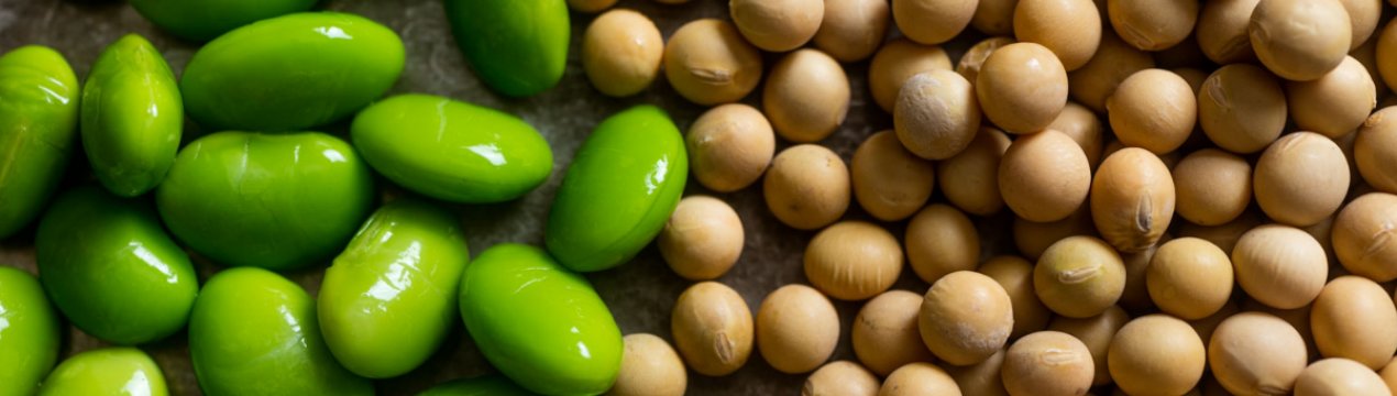 В Україні частина ГМ-насіння сої досягла 60 відсотків