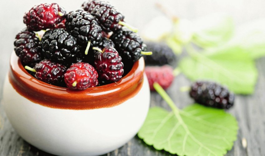 Ягоди шовковиці Ягоди шовковиці