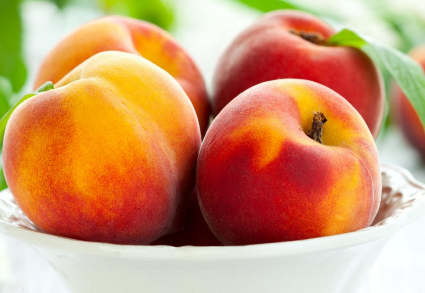 Перший урожай персиків зібрали на Волині