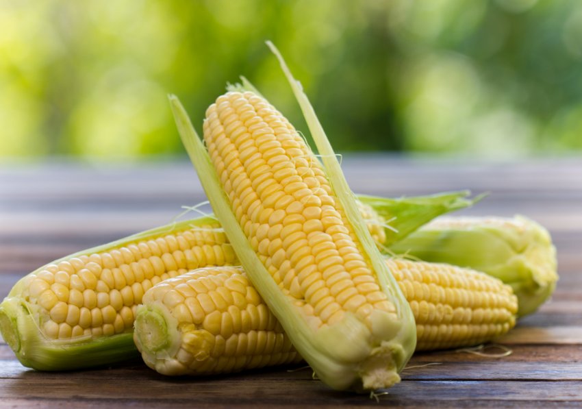 Білоруські аграрії мають намір закрити «прибиральний питання» через 12 днів Білоруські аграрії мають намір закрити «прибиральний питання» через 12 днів