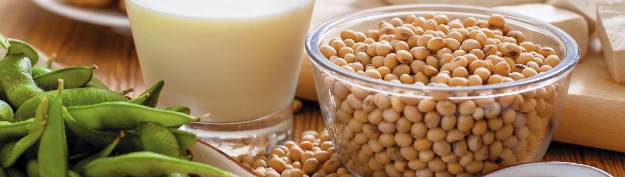 Соєве виробництво в Казахстані не збавляє темпів