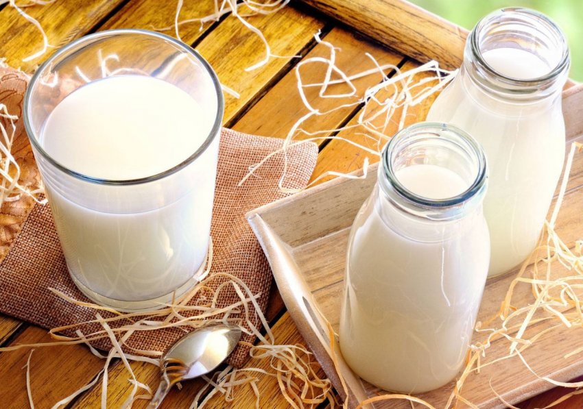 Тула підвищує м'ясомолочні темпи Тула підвищує м'ясомолочні темпи