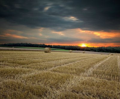У Хмельницькій області горіли 20 гектарів поля