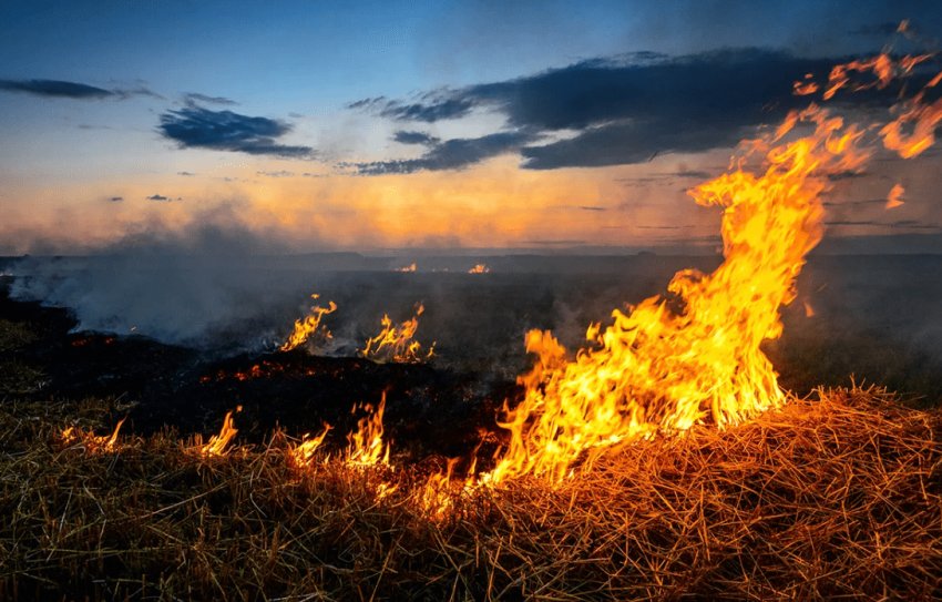 В Хмельницькій області горіли 20 гектарів поля В Хмельницькій області горіли 20 гектарів поля