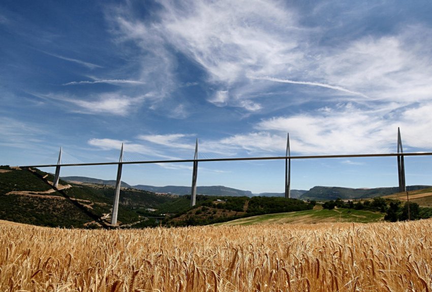 Уряд Індії використовує штучний інтелект для поліпшення сільського господарства