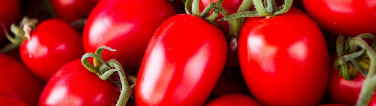 Іспанські вчені знайшли екологічно безпечні методи боротьби з хворобами томатів