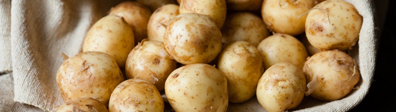 Унікальний азербайджанський картопля назвали людськими іменами