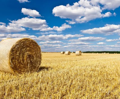 Тувинські аграрії знову беруться за коси